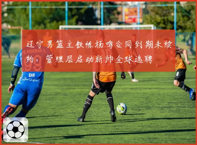 辽宁男篮主教练杨鸣合同到期未续约，管理层启动新帅全球选聘
