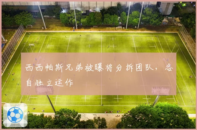 西西帕斯兄弟被曝将分拆团队,各自独立运作