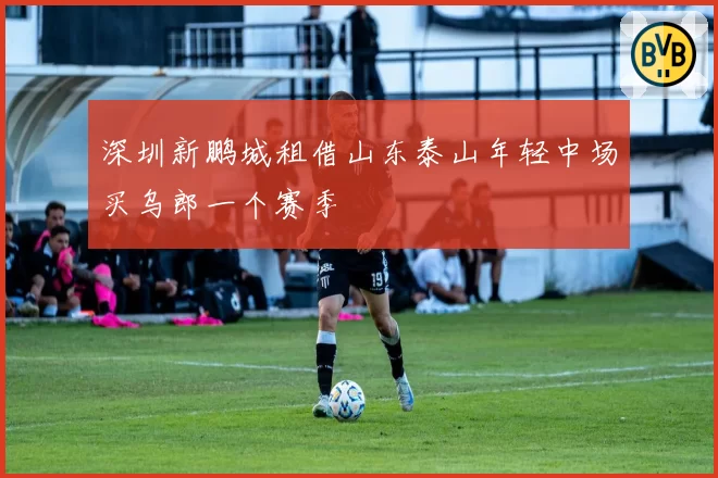 深圳新鹏城租借山东泰山年轻中场买乌郎一个赛季